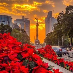 Meet your Posher, Sandy